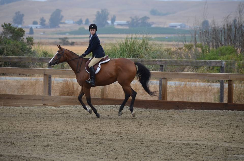 Strides Riding Academy secures $2.5M 504 loan to purchase 20-acre equestrian facility in Petaluma, CA